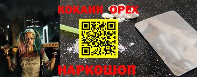 шишки Будённовск