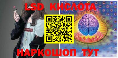 шишки Будённовск
