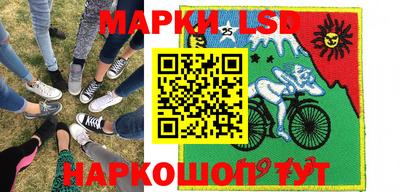 шишки Будённовск