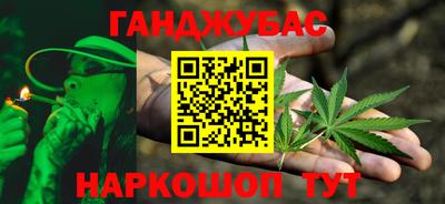 шишки Будённовск