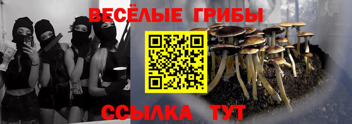 Псилоцибиновые грибы Psilocybine cubensis  Галлюциногенные грибы прущие грибы  Вход с VPN  Новороссийск 